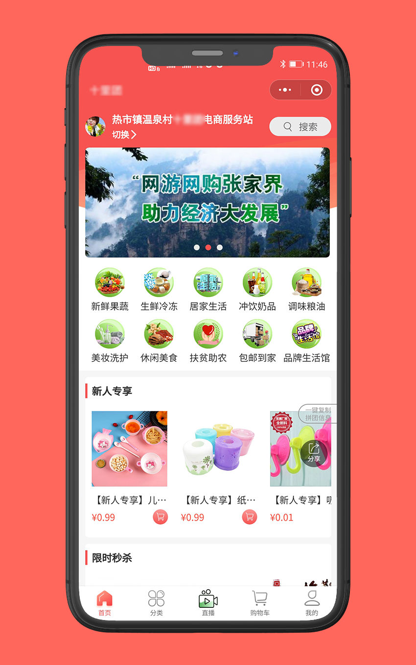 小程序：十里团电商_3