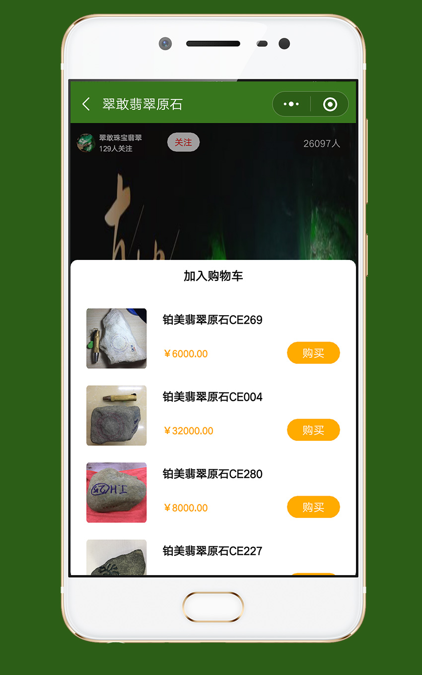 翡翠直播：蜀翠珠宝翡翠原石_5